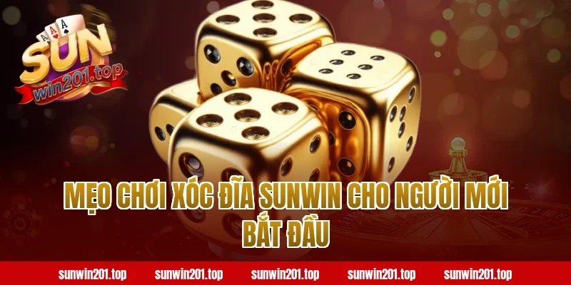 Mẹo chơi xóc đĩa Sunwin cho người mới bắt đầu